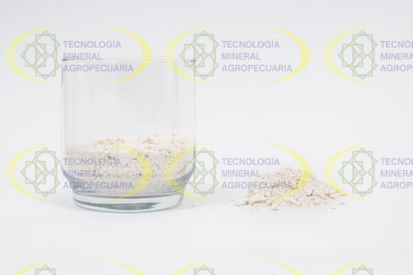 TIERRA DE DIATOMEAS - Image 2